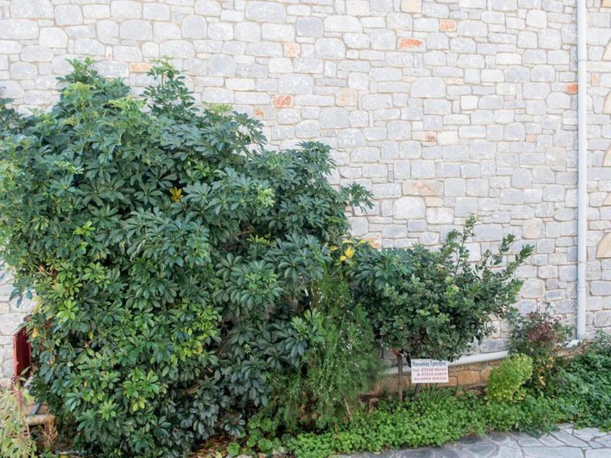 Manoleas Villas - Apartment 2 Stoúpa Zewnętrze zdjęcie
